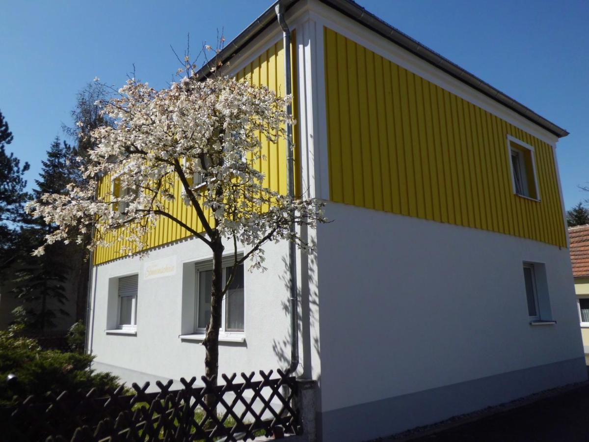 Ferienwohnung Im Haus Sonnenschein Beim Senftenberger See Hosena 외부 사진